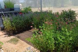 El material fortalecerá los Jardines Polinizadores de la institución.
