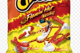 Desde el año 2012, los Cheetos Flamin ’Hot han sido un enemigo público de todas las escuelas del país. Las escuelas en California, Illinois y Nuevo México los han prohibido por su falta de nutrición.