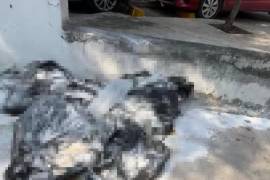 El macabro hallazgo lo denunció un activista de nombre Alexs Ventura, quien informó que vecinos del sector alertaron de la situación ante los fétidos olores