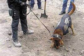 Restringen acceso a zona de fosas clandestinas en Patrocinio