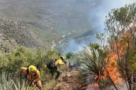 Personal municipal de Candela, Coahuila, se incorporó directamente a las labores para contener el incendio registrado en la serranía.