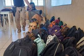 A solicitud de la directora, Patricia Fernández, madres y padres de familia participaron en la revisión de seis salones, cubriendo un total de 280 estudiantes.