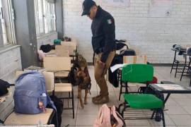 Agentes de la Unidad Especializada en Atención a Víctimas de Violencia Familiar y de Género apoyaron en la revisión de mochilas.