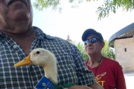El pato “Justicia Laboral” portó una camiseta de la Selección Mexicana y una ficha de ex obrero de AHMSA como símbolo de la lucha que mantienen los trabajadores por el pago de sus prestaciones.