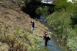 Cuadrillas trabajan en la limpieza del arroyo, avanzando en el tramo entre Bellavista e Independencia.