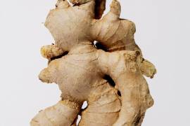 El jengibre puede ser seguro y eficaz para tratar las náuseas y los vómitos en determinados contextos.