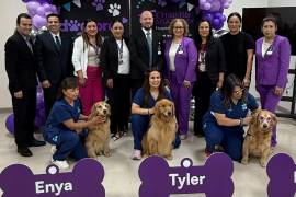 Perros entrenados interactúan con pacientes como parte del programa terapéutico.