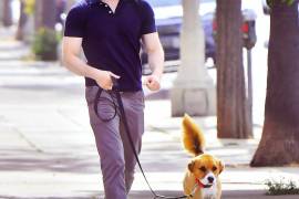 Chris Evans presume video del día en que adoptó a su perro