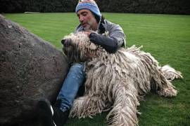 Raúl Julia-Levy acusa a Alejandro Fernández de maltrato animal