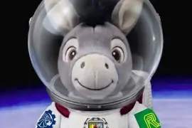 Como símbolo institucional, el emblemático ‘Burro Pardo’ será enviado a la estratosfera con un traje conmemorativo, portando los logotipos del TecNM, del Instituto Tecnológico de Saltillo.