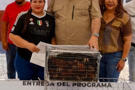 Autoridades municipales entregaron 2 mil pollitas ponedoras a familias rurales de Ramos Arizpe.