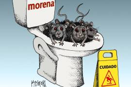 Morena: Área de limpieza