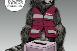 Morena: Reglas electorales