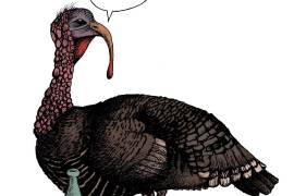 La cruda... realidad