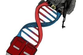Narcopolítica: Los genes