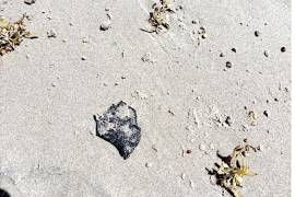 Manchas de chapopote encontradas por turistas en la Isla del Padre.
