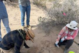 Grupo VIDA ha encontrado en total 29 puntos donde se han localizado huesos y restos de huesos, y de ellos, al menos 10 zonas han sido consideradas como “campos de exterminio”.