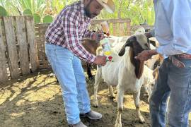 Saltillo y el Gobierno de Coahuila realizarán jornadas de vacunación y acciones preventivas en comunidades rurales del municipio.