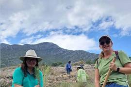 Los ejemplares obtenidos mediante compensaciones ambientales serán destinados a plazas, bulevares y bosques urbanos.