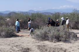 Integrantes de Grupo VIDA informaron este miércoles sobre la localización de una nueva fosa durante el tercer día consecutivo de trabajos, en Viesca, Coahuila.