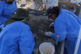 Los colectivos de búsqueda han optado por hacerse de conocimientos forenses para la búsqueda en campo por falta de investigaciones de los gobiernos.