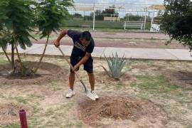 Los trabajos forman parte del programa permanente de conservación de espacios públicos impulsado por el Gobierno Municipal.