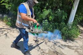 La Jurisdicción Sanitaria Uno reforzó las acciones de fumigación en diversos sectores de la ciudad mediante brigadas que operan en turnos matutinos y vespertinos.