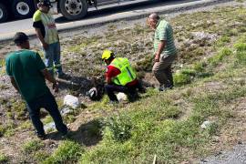 Paramédicos de Ramos Arizpe atendieron el accidente.