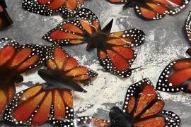 Ya preparan el Festival del Paso de la Mariposa Monarca en Saltillo
