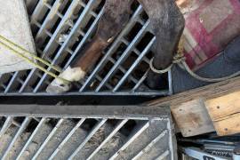 Los hechos se registraron este sábado en la colonia Francisco Villa, en Monterrey, reportó PCNL