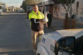 El ave fue rescatada en una colonia de Torreón.