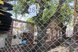 Una denuncia ciudadana señala la presunta venta de 28 lugares a mil pesos cada uno en una escuela primaria para ver la tradicional Cabalgata de Sabinas.