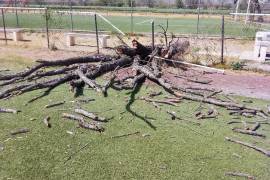 Las intensas ráfagas de viento causaron incendios y destrozos en Candela, pero la pronta acción de las autoridades evitó mayores daños.