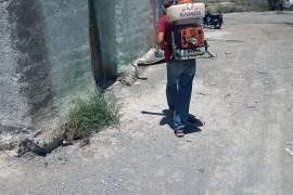 Personal de la Dirección de Ecología de Ramos Arizpe realiza jornadas de fumigación en escuelas urbanas y rurales para erradicar garrapatas.
