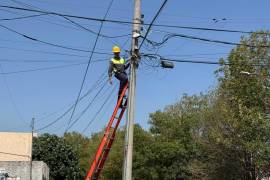 Como parte de los trabajos para mejorar la imagen de Torreón, se retira todo el cable que no se usa.