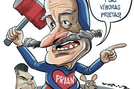 El chapulín azulado