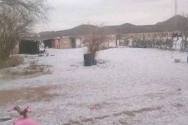 La caída de hielo se registró únicamente en comunidades de gran altitud de la sierra de Ocampo, como consecuencia del frente frío número 27 que afectó a la Región Centro de Coahuila.