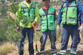 Antes de comenzar la plantación, los voluntarios recibieron indicaciones sobre la manera correcta de colocar los árboles y favorecer su supervivencia.