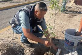 La empresa dedicada al ramo automotriz, inicio un programa de siembra de arboles en su planta instalada en Ciudad Acuña.