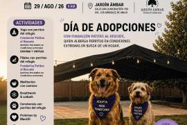 Fundación Patitas al Rescate busca brindar una segunda oportunidad a perros rescatados mediante jornadas de adopción y actividades de convivencia con la ciudadanía.