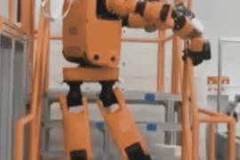 El robot que se perfila para ser un rescatista