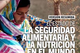 Portada del informe “El estado de la seguridad alimentaria y la nutrición en el mundo 2024” realizado en forma conjunta por la FAO, el FIDA, el Unicef y el Programa Mundial de Alimentos y la OMS.
