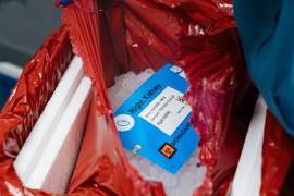 Donate Life America, una organización de defensa de los derechos, mantiene una lista nacional de los registros en línea.