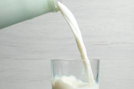 Profeco dio a conocer los principales nutrientes que contiene la leche y explicó por qué esta bebida puede aportar beneficios al organismo en cualquier etapa de la vida.