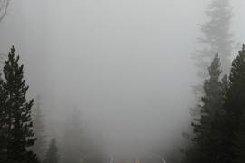 La presencia de neblina puede reducir considerablemente la visibilidad al conducir.