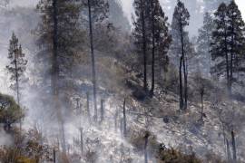 La mayoría de los daños se concentra en pastizales y matorrales.