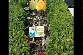 Encuentra a Pikachu en la tumba de su hermano fan de Pokémon