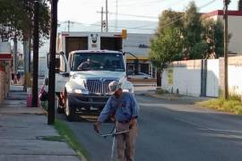 Titular de Forestación dejó en claro que todos los departamentos municipales trabajan con normalidad.