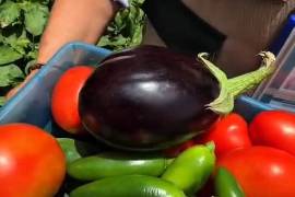 El Hospital Rural de Ramos Arizpe cuenta con un huerto demostrativo para promover hábitos de alimentación saludable.