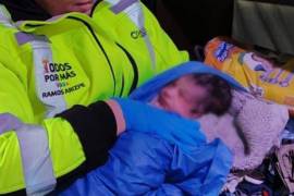 Paramédicos acudieron de inmediato tras recibir el reporte de un parto inminente.